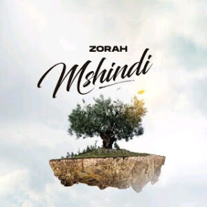 AUDIO | Zorah - Mshindi | Download