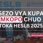 HESLB Online Application 2025